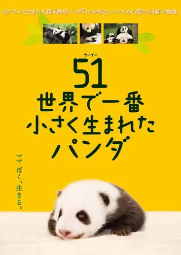 51g（ｳｰｲｰ）世界で一番小さく生まれたパンダ | アスミック・エース